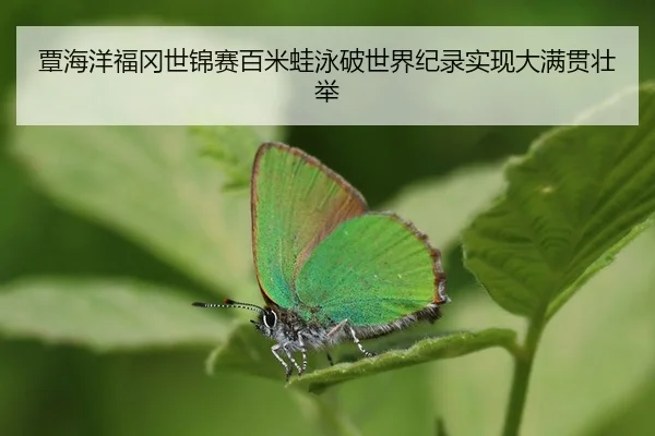 tan-hai-yang-fu-gang-shi-jin-sai-bai-mi-wa-yong-po-shi-jie-ji-lu-shi-xian-da-man-guan-zhuang-ju-2-808.jpg