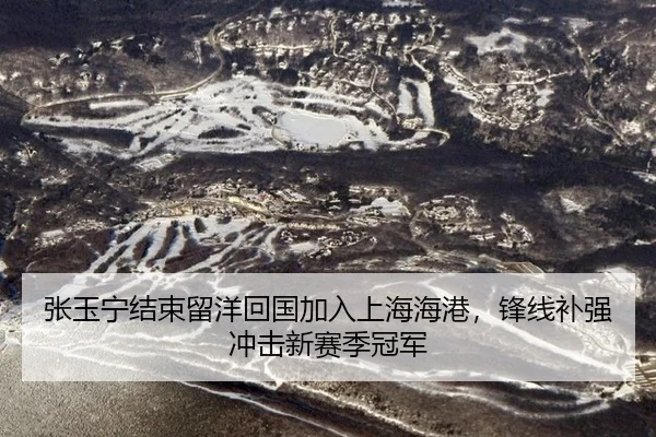 张玉宁结束留洋回国加入上海海港，锋线补强冲击新赛季冠军